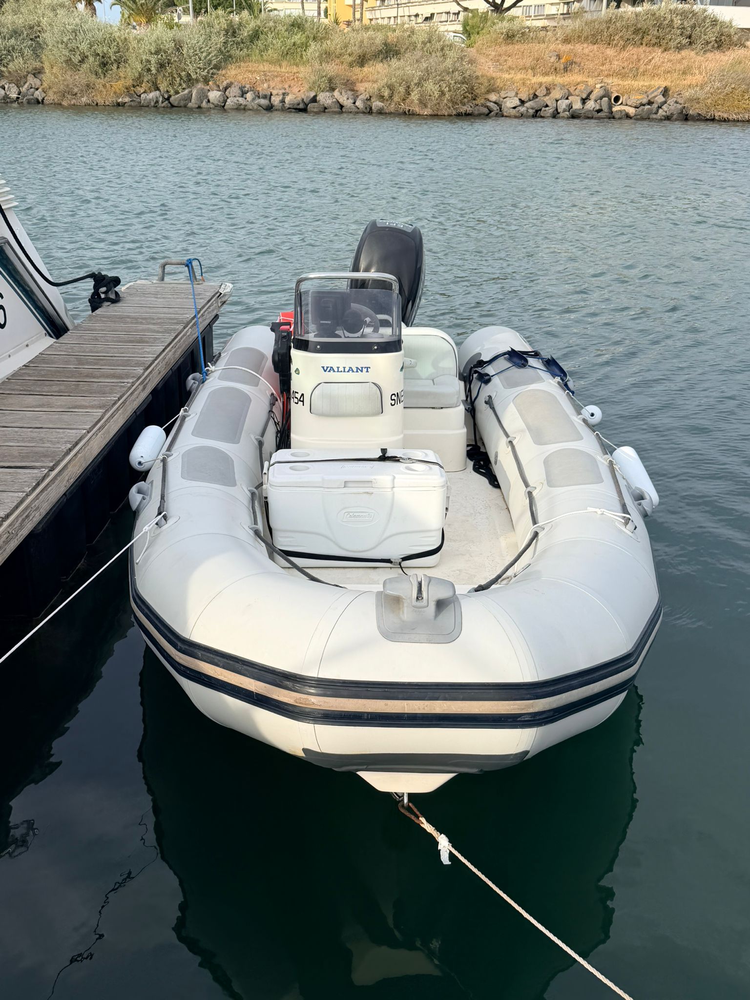 VALIANT VG 450